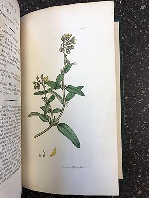 Bild des Verkufers fr ENGLISH BOTANY; OR, COLOURED FIGURES OF BRITISH PLANTS, WITH THEIR ESSENTIAL CHARACTERS, SYNONYMS AND PLACES OF GROWTH [VOL. 31 ONLY] zum Verkauf von Second Story Books, ABAA