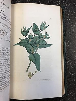 ENGLISH BOTANY; OR, COLOURED FIGURES OF BRITISH PLANTS, WITH THEIR ESSENTIAL CHARACTERS, SYNONYMS...