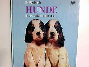 Bilderbuch Hunde, jung, verspielt, tollpatschig. Text: Ilse Kubasch