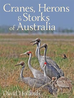 Seller image for Cranes, Herons and Storks of Australia (Hardcover) for sale by AussieBookSeller