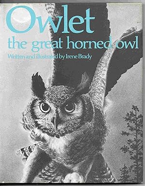 Owlet: The Great Horned Owl