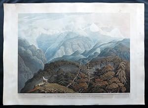 Views in the Himalaya Mountains (Viste sulle montagne dellHimalaya). Tavola VIII. The Valley of ...