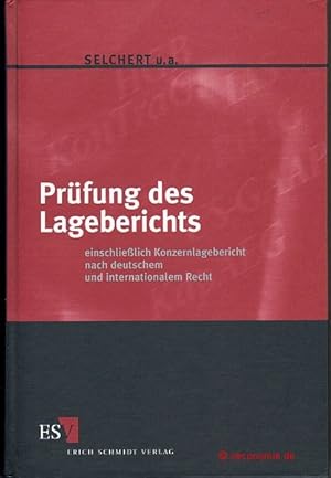 Seller image for Prfung des Lageberichts einschlielich Konzernlagebericht nach deutschem und internationalem Recht. for sale by Antiquariat Hohmann