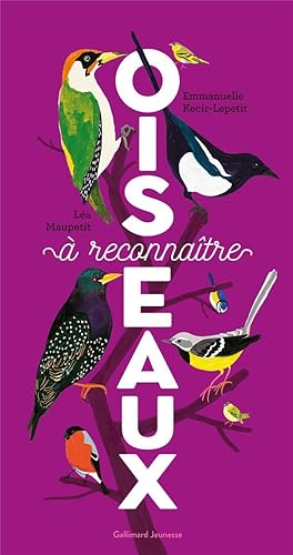 Oiseaux