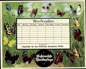 Stundenplan Sparkasse Herzogtum Gotha, Einheimische Schmetterlinge, Insekten, Gliederfüßler um 1930