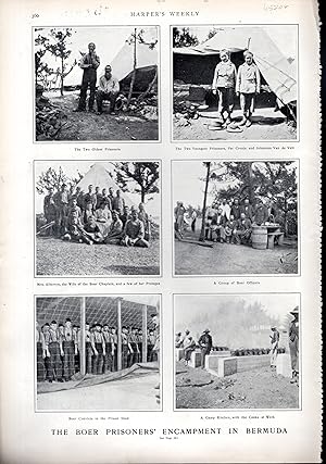 Seller image for PRINT: "The Boer Prisoners' Encampment in Bermuda" .photo from Harper's Weekly, March 22, 1902 for sale by Dorley House Books, Inc.