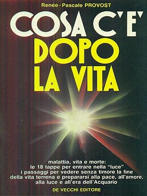 Seller image for Cosa c'e' dopo la vita for sale by Librodifaccia