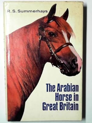 Imagen del vendedor de The Arabian horse in England a la venta por Cotswold Internet Books