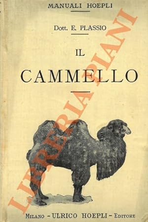 Il cammello.