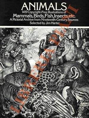 Animals. 1419 copyright-free illustrations of mammals, birds, fish, insects, etc. A pictorial arc...