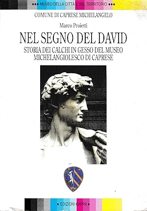 Nel segno del David : storia dei calchi in gesso del museo michelangiolesco di Caprese