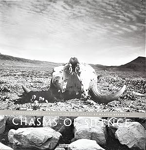 Chasms of Silence. a Photographic Journey in the High Arctic