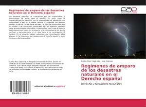 Seller image for Regmenes de amparo de los desastres naturales en el Derecho Espaol : Derecho y Desastres Naturales for sale by AHA-BUCH GmbH