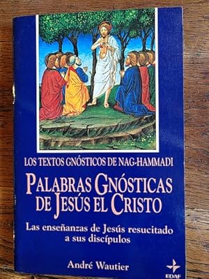 Bild des Verkufers fr Palabras gnsticas de Jess el Cristo zum Verkauf von Librera Pramo