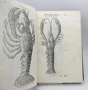 De Reliquis Animalibus exanguibus libri quatuor, post mortem eius editi : Nempè De Mollibus, crus...