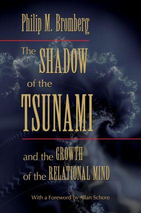 Bild des Verkufers fr The Shadow of the Tsunami zum Verkauf von moluna