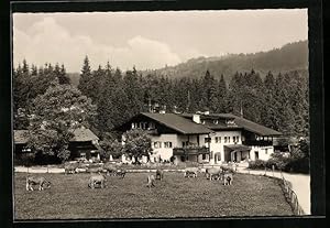 Ansichtskarte Elmau, Gasthaus Alpengut