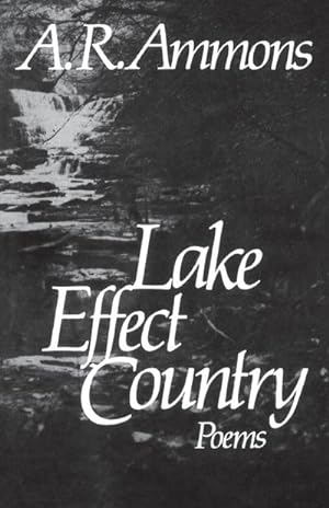 Immagine del venditore per Lake Effect Country : Poems venduto da AHA-BUCH GmbH