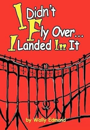 Seller image for I Didn't Fly Over. I Landed in It for sale by AHA-BUCH GmbH