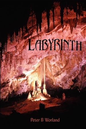 Seller image for Labyrinth for sale by AHA-BUCH GmbH
