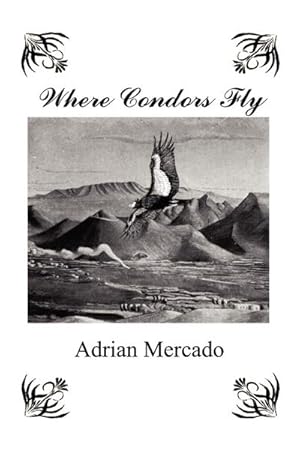 Seller image for Where Condors Fly for sale by AHA-BUCH GmbH