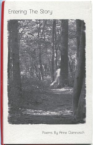 Immagine del venditore per Entering the Story venduto da Between the Covers-Rare Books, Inc. ABAA