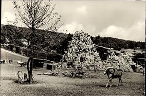 Bild des Verkufers fr Ansichtskarte / Postkarte Kronberg im Taunus, Opel-Tierpark, Widder zum Verkauf von akpool GmbH