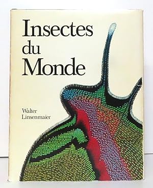 Insectes du monde.