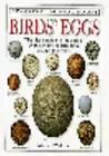 Bild des Verkufers fr Birds' Eggs (Eyewitness Handbooks) zum Verkauf von Pieuler Store