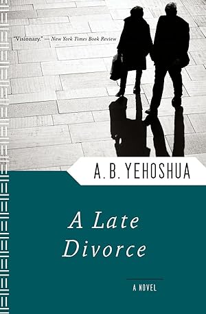 Seller image for A Late Divorce for sale by moluna