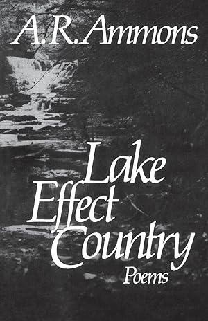 Immagine del venditore per Lake Effect Country venduto da moluna