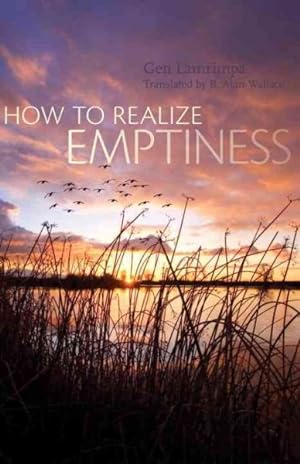 Seller image for How to Realize Emptiness for sale by GreatBookPricesUK