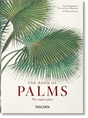 Image du vendeur pour Von Martius. the Book of Palms. mis en vente par GreatBookPrices