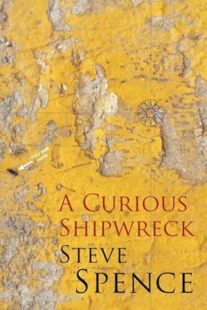 Seller image for A Curious Shipwreck for sale by AHA-BUCH GmbH
