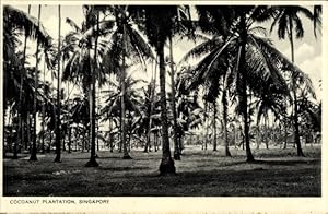 Bild des Verkufers fr Ansichtskarte / Postkarte Singapur, Cocoanut Plantation zum Verkauf von akpool GmbH
