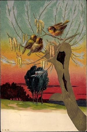 Präge Ansichtskarte / Postkarte Vögel auf einem Weidenbaum, Spatzen