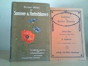 Image du vendeur pour Sommer- und Herbstblumen. Bildatlas mit Text. mis en vente par Antiquariat im Schloss
