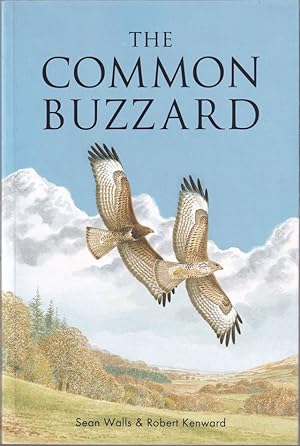 Seller image for THE COMMON BUZZARD. By Sean Walls & Robert Kenward. for sale by Coch-y-Bonddu Books Ltd