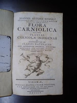 Flora carniolica exhibens plantas carniolae indigenas et distributas in classes naturales