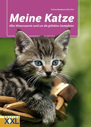 Meine Katze: Alles Wissenswerte rund um die geliebten Samtpfoten