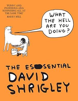Seller image for What The Hell Are You Doing?: The Essential David Shrigley for sale by Pieuler Store
