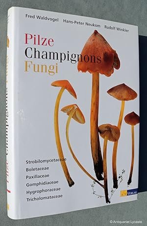 Seller image for Pilze. Champgnons. Fungi. for sale by Antiquariat Lycaste