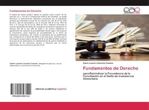Seller image for Fundamentos de Derecho : para Reivindicar la Procedencia de la Conciliacin en el Delito de Inasistencia Alimentaria for sale by AHA-BUCH GmbH