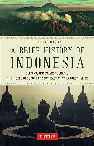 Bild des Verkufers fr Brief History of Indonesia zum Verkauf von moluna