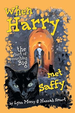 Seller image for When Harry Met Saffy for sale by moluna