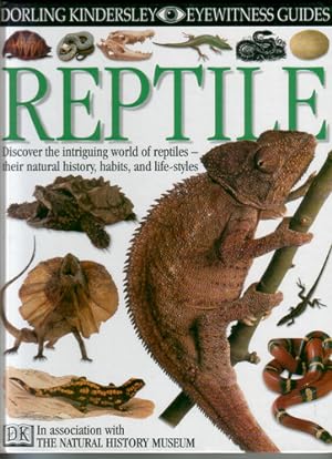 Seller image for Reptile for sale by The Children's Bookshop