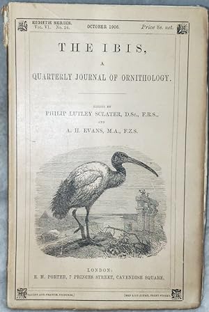 The Ibis, A Quarterly Journal of Ornithology, Eighth Series, Vol. VI. No. 24. October 1906