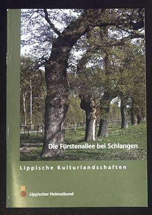 Bild des Verkufers fr Die Frstenallee bei Schlange.: in- Lippische Kulturlandschaften. zum Verkauf von books4less (Versandantiquariat Petra Gros GmbH & Co. KG)