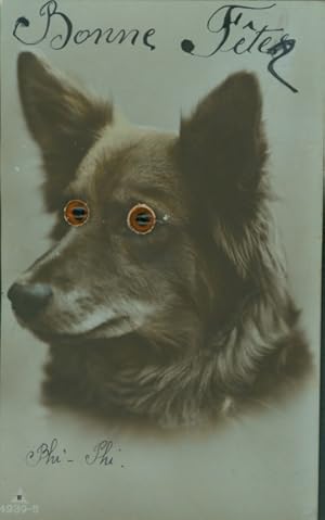 Wackelaugen Ansichtskarte / Postkarte Hund-Portrait, Tier-Portrait