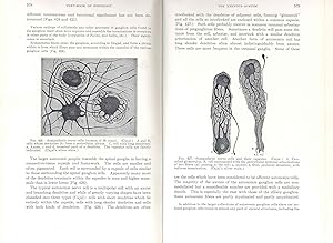 Image du vendeur pour Bailey's text-book of histology. [The cell; The living cell; Histogenesis: Classification; Epithelium; The connective tissues; The connective tissues: Cartilage and bone; Blood and lymph; Muscle tissue; Nerve tissue; The circulatory system; Lymphoid organs; The integument; Glands and the genera l structure of mucous membranes; The digestive system; The respiratory system; The urinary system; The male reproductive system; The female reproductive system; The endocrine glands; The nervous system; The organs of special sense] mis en vente par Joseph Valles - Books